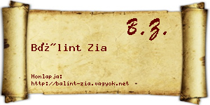 Bálint Zia névjegykártya